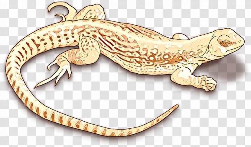 Lizard Reptile Clip Art Chameleons - Scaled Reptiles Transparent PNG