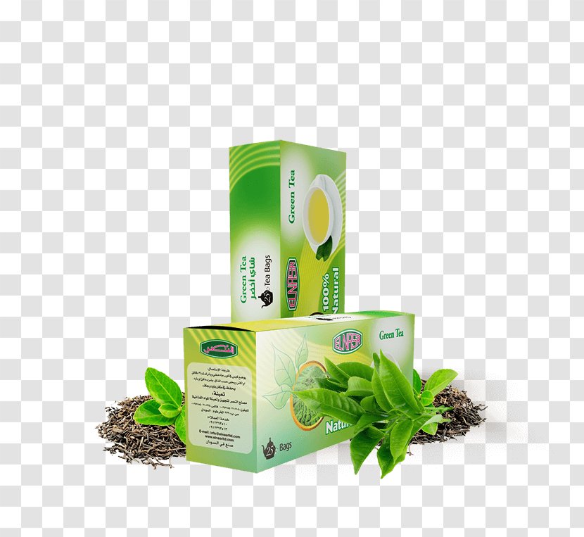 Green Tea Bag Herb Transparent PNG