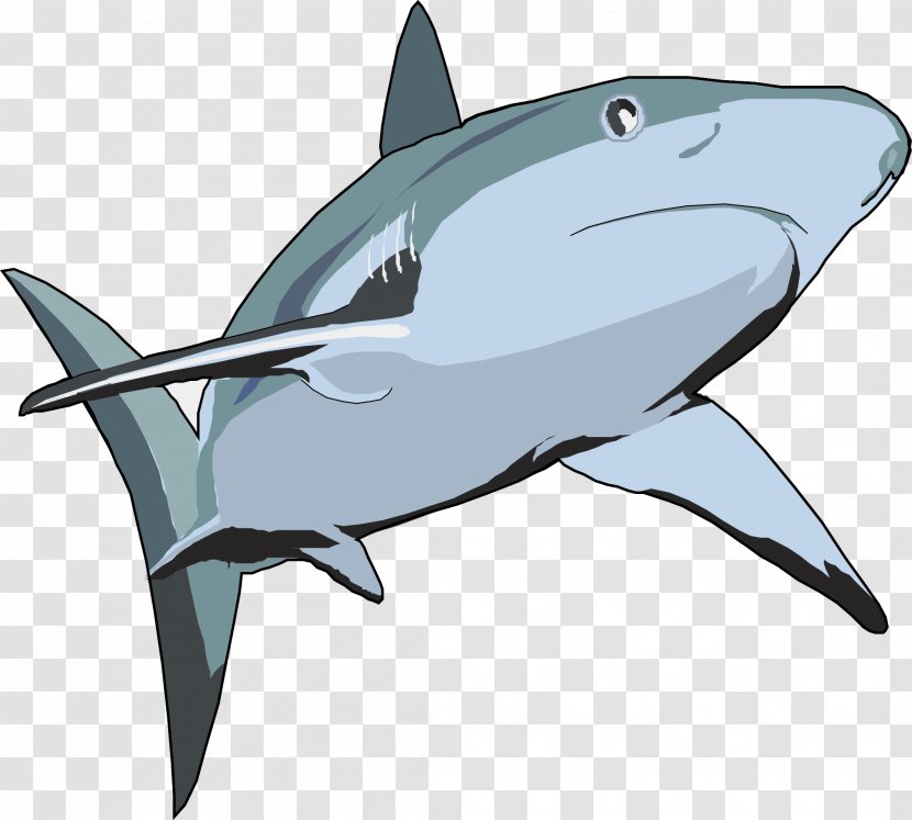 Shark Euclidean Vector Illustration - Blue - Huge Transparent PNG