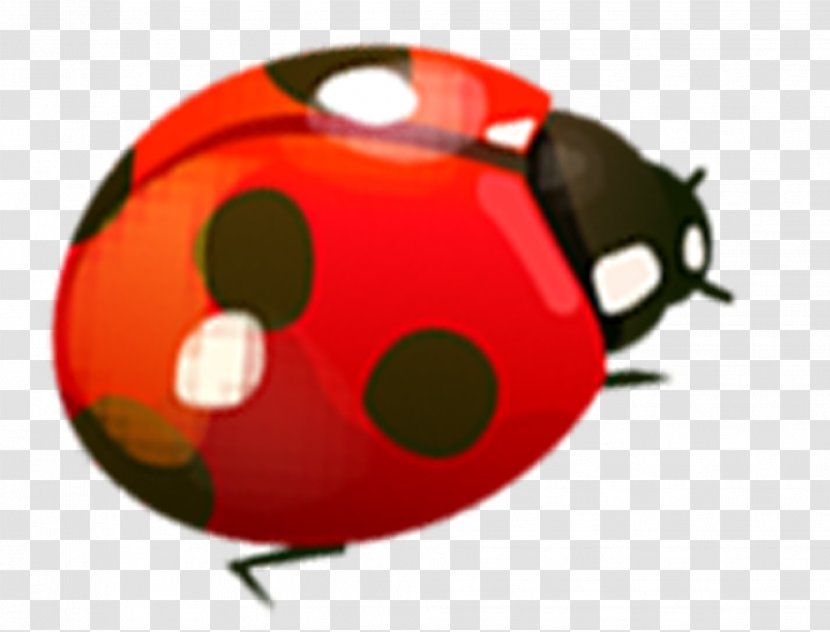 Ladybird Beetle Coccinella Septempunctata Computer File - Resource - Ladybug Transparent PNG