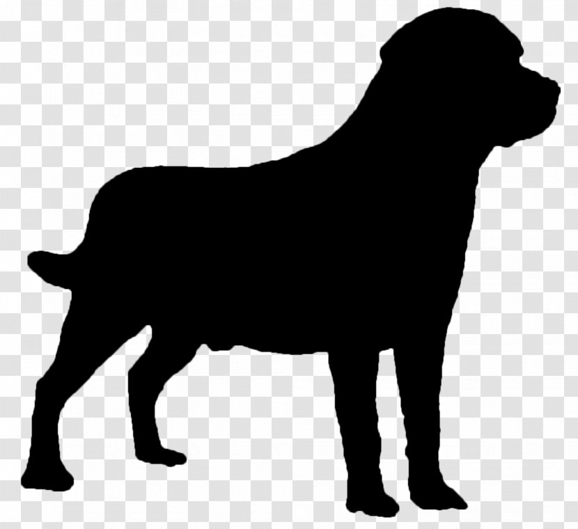 Labrador Retriever Sticker Spain Image Bull - Silhouette Transparent PNG