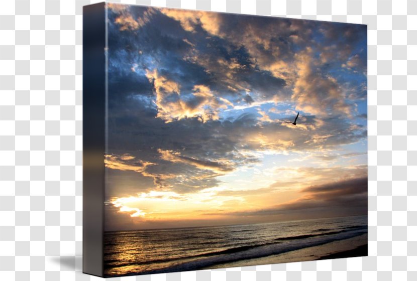 Beach Sea Picture Frames Imagekind Art - Calm - Atmosphere Transparent PNG