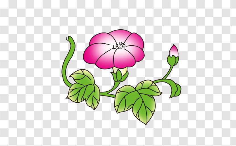 Flower Adobe Illustrator Ipomoea Nil Information - Green - Lotus Transparent PNG