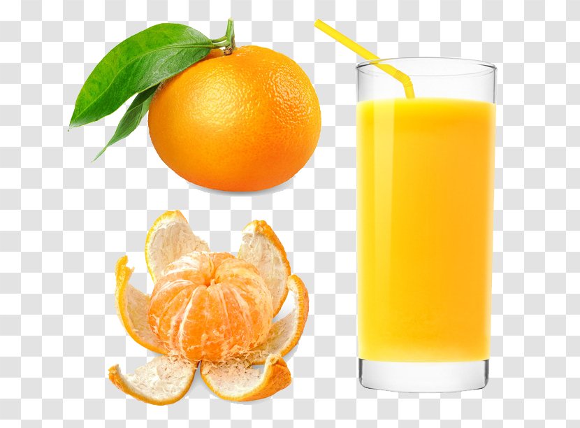 Orange Juice Tangerine Mandarin - Fruit - Glass Of Kumquat Transparent PNG
