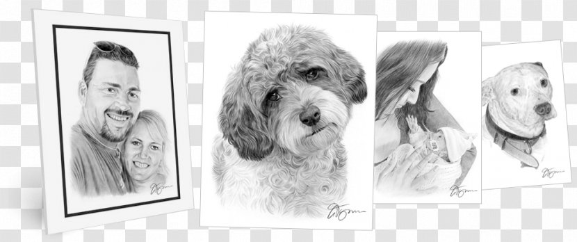 Dog Breed Fur Snout Portrait Sketch - Crossbreed - West Highland White Terrier Transparent PNG