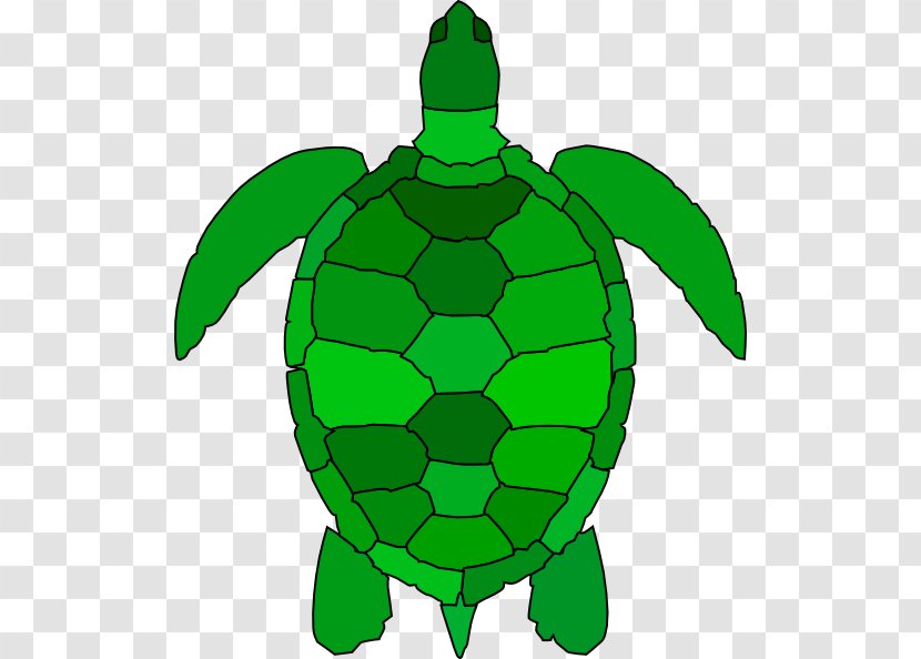 Green Sea Turtle Reptile Clip Art - Cuteness - Cliparts Transparent PNG