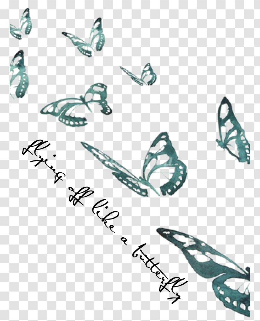 Butterfly Effect Drawing - Wing Transparent PNG