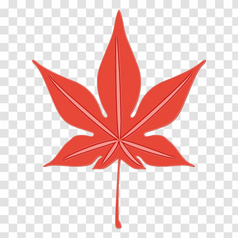 Maple Leaf - Red - Plane Transparent PNG
