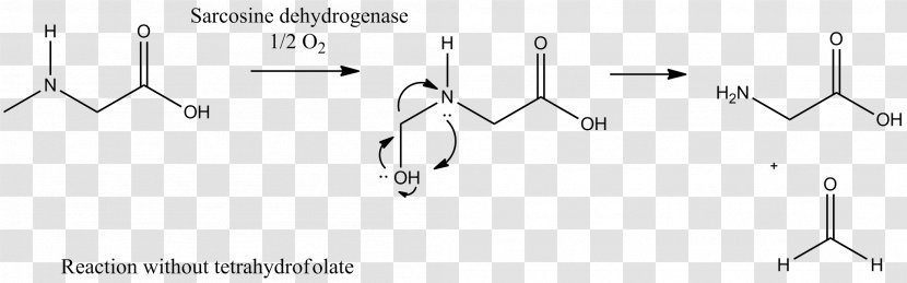 Sarcosine Dehydrogenase Enzyme Sarcosinemia Alanopine - Triangle - Catalysis Transparent PNG