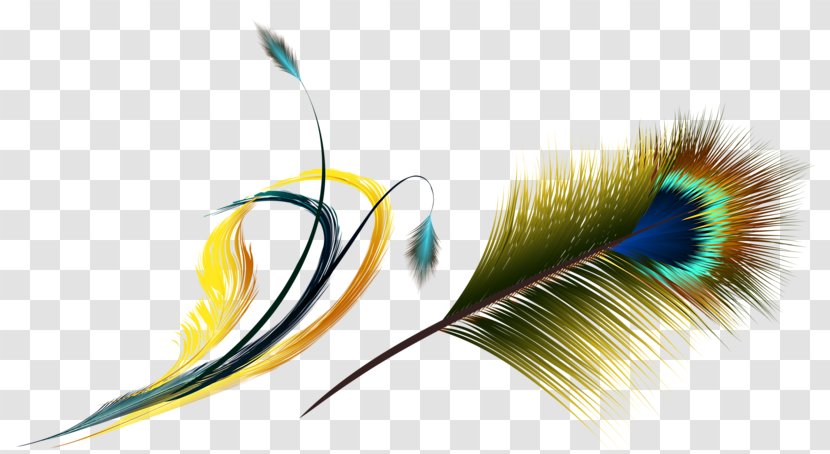 Flight Feather Asiatic Peafowl - Eyelash - Peacock Feathers Transparent PNG