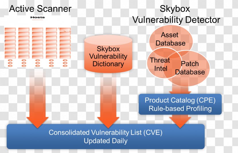 Vulnerability Assessment Management Computer Security Information - Software - Material Transparent PNG