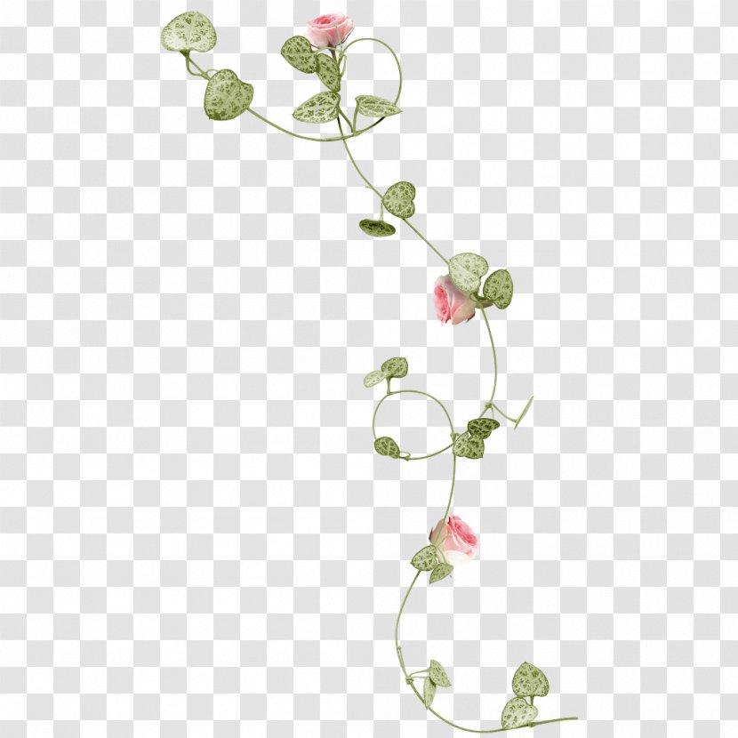 Rose Vine Flower Clip Art - Garden Roses - Summer Flowers Balloon Transparent PNG