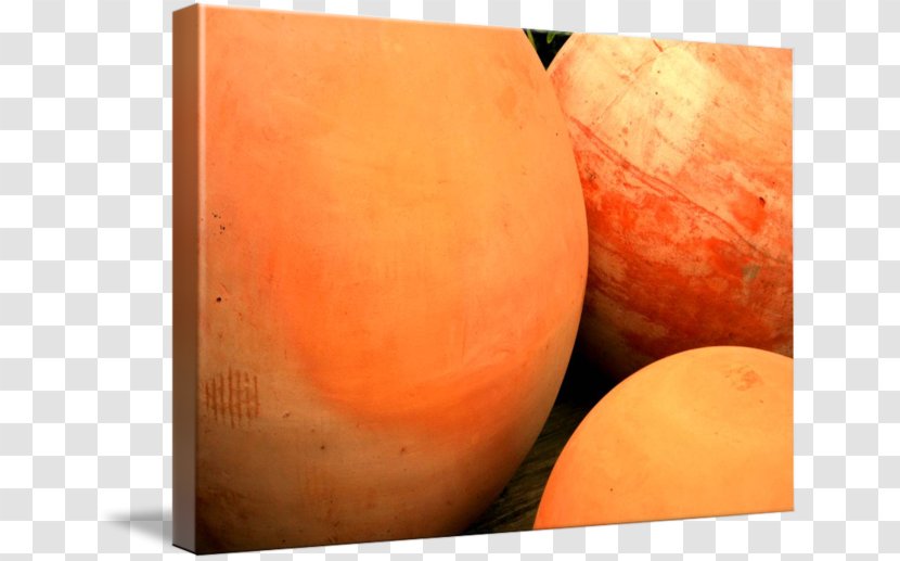 Still Life Photography Winter Squash Cucurbita Transparent PNG