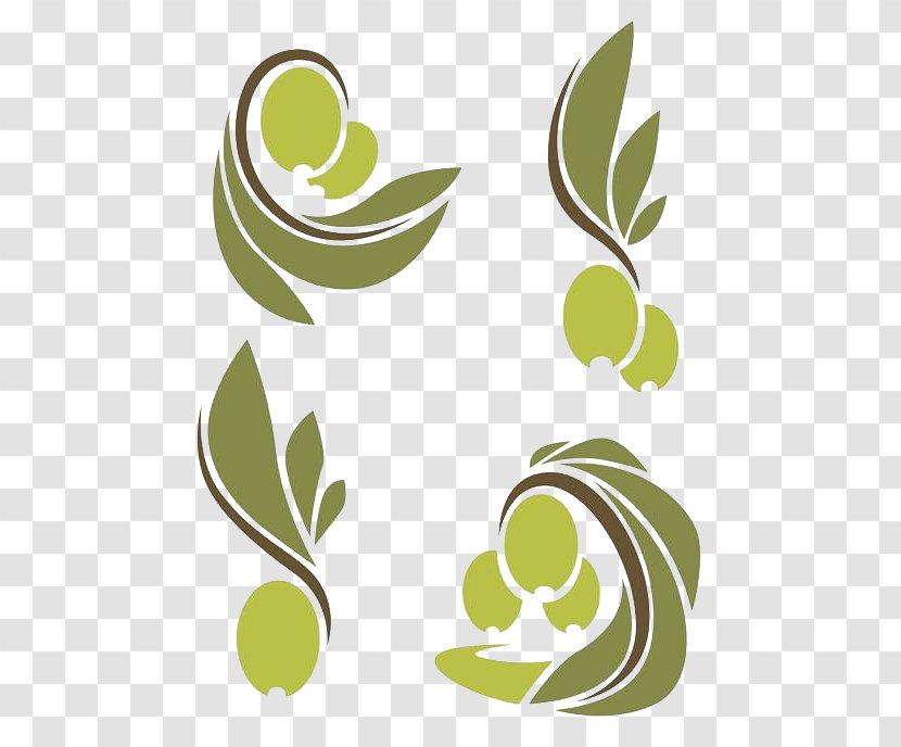 Olive Oil Branch Leaf - Green - Shading Transparent PNG