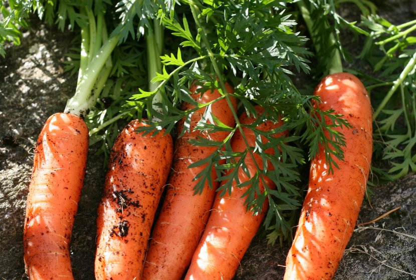 Carrot Cake Gardening Vegetable - Eggplant Transparent PNG