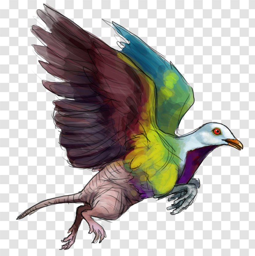 Beak Bird Of Prey Feather Illustration Transparent PNG
