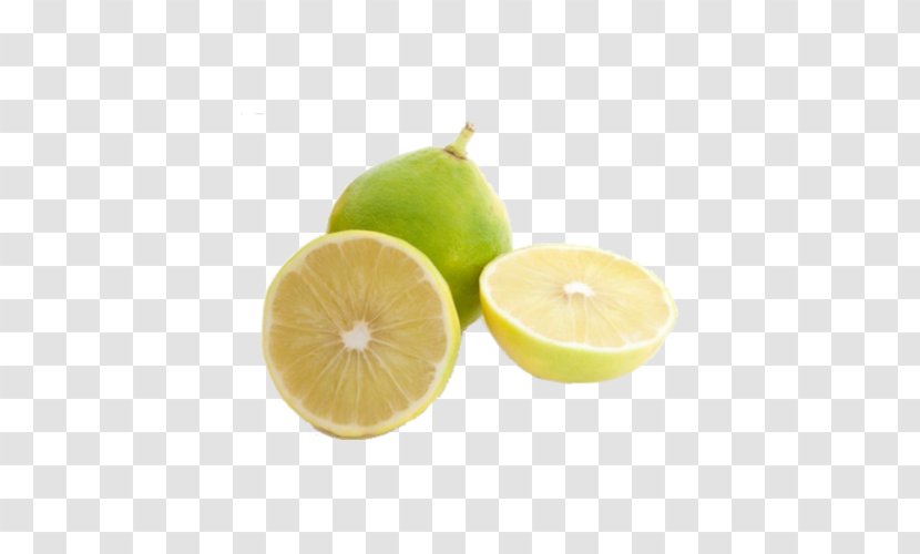 Key Lime Lemon Citron Bergamot Orange - Sweet Transparent PNG