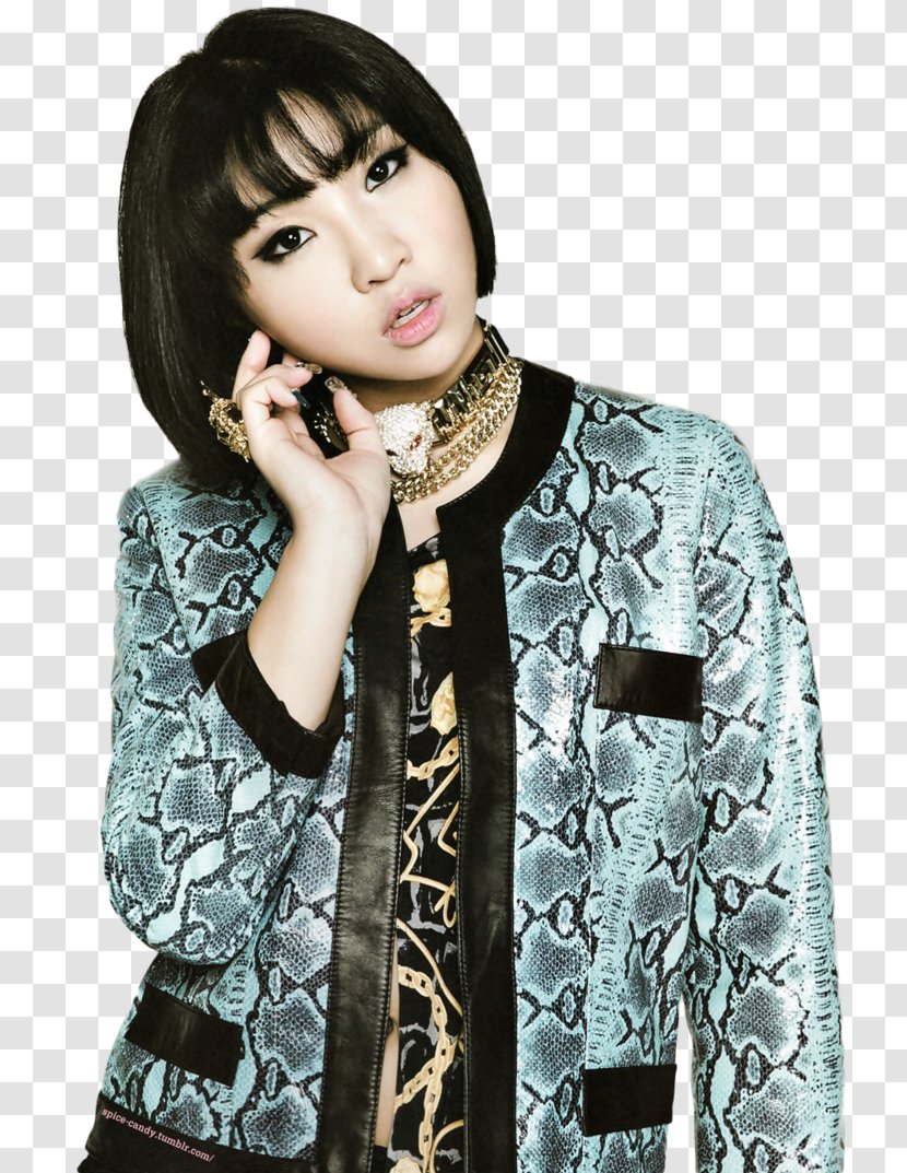 Minzy 2NE1 K-pop Crush Hyukoh - Sleeve - Gong Xi Fa Cai Transparent PNG