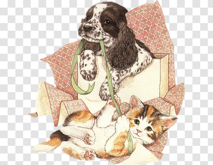 Dog Breed Spaniel .net Cat - Carnivoran - Tug Of War Transparent PNG