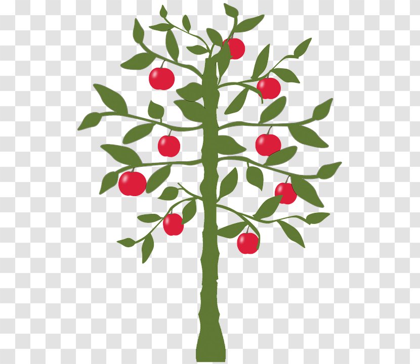 Lemon Fruit Tree Apple - Plant Transparent PNG