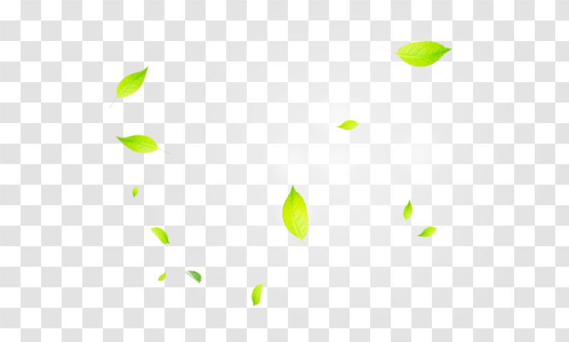 Line Point Angle Green Pattern - Triangle - Leaves Sunlight Effect Transparent PNG
