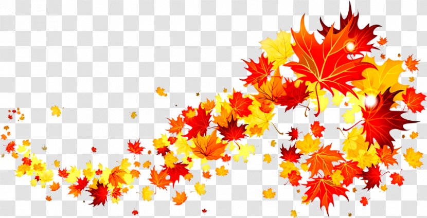 Clip Art Image Autumn Illustration - Leaf Transparent PNG