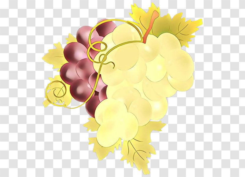 Grape Grapevine Family Yellow Leaf Vitis - Seedless Fruit Transparent PNG