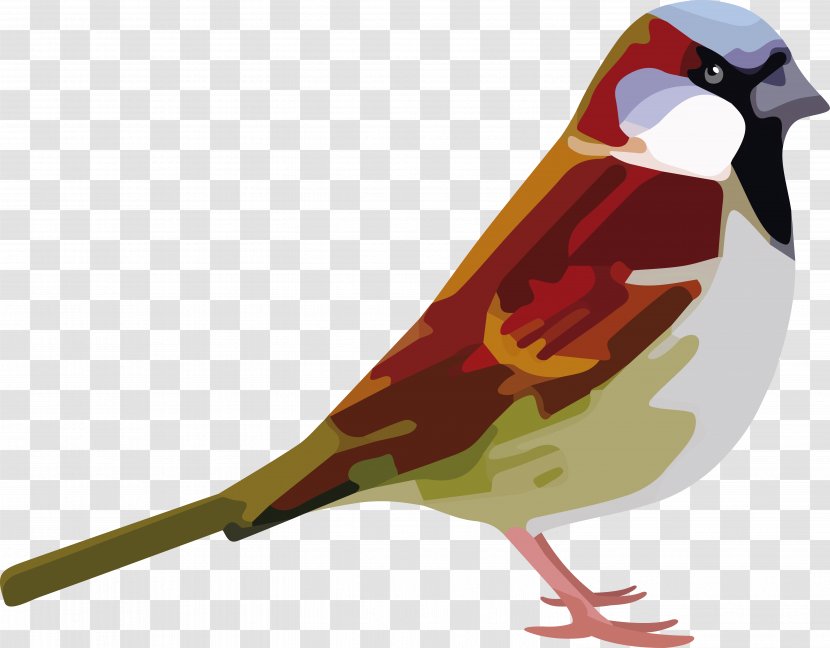 House Sparrow Bird Child Symbol - Song Transparent PNG
