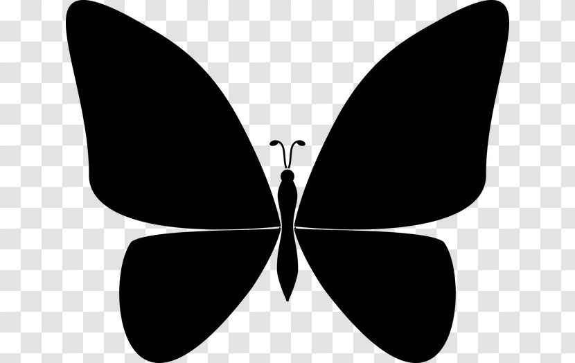 Brush-footed Butterflies Butterfly Moth Insect Clip Art - Brush Footed Transparent PNG