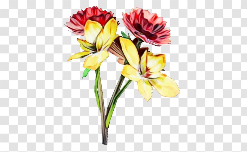Flower Flowering Plant Cut Flowers Petal - Bouquet Stem Transparent PNG