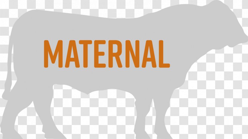 Cattle Calf Livestock Horse Bull - Silhouette - Maternal Transparent PNG