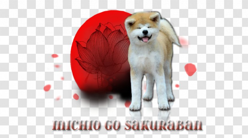 Dog Breed Puppy Love Akita Snout - Flower - Shiba Inu Transparent PNG