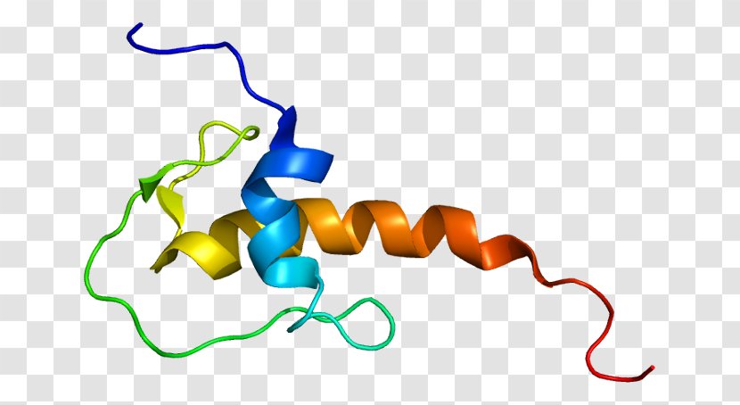 LEKTI-2 Serine Protease Protein - Heart - Flower Transparent PNG