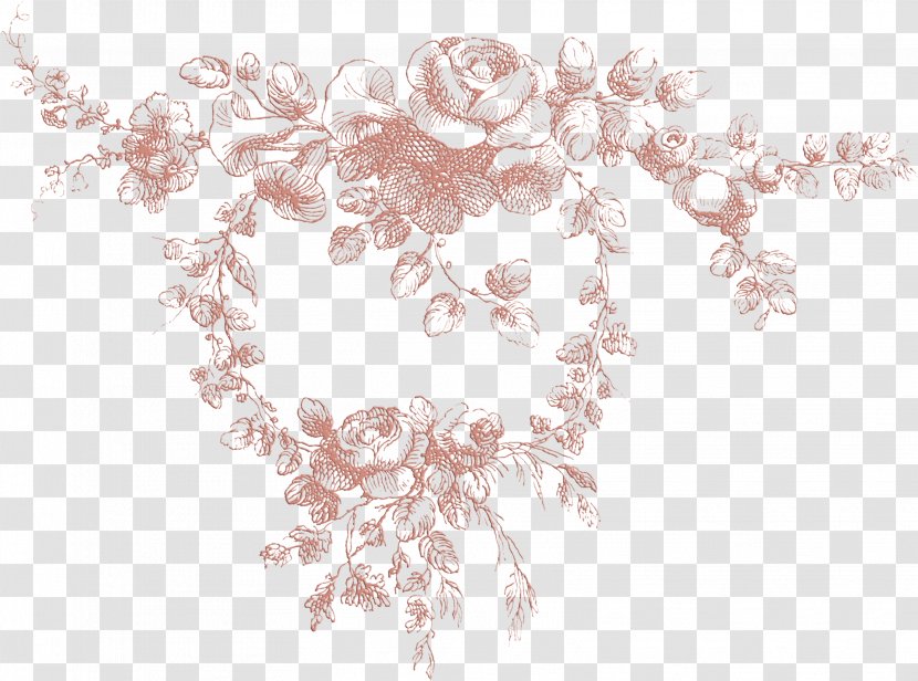 Picture Frames Visual Arts Photography Pattern - Ornament Transparent PNG