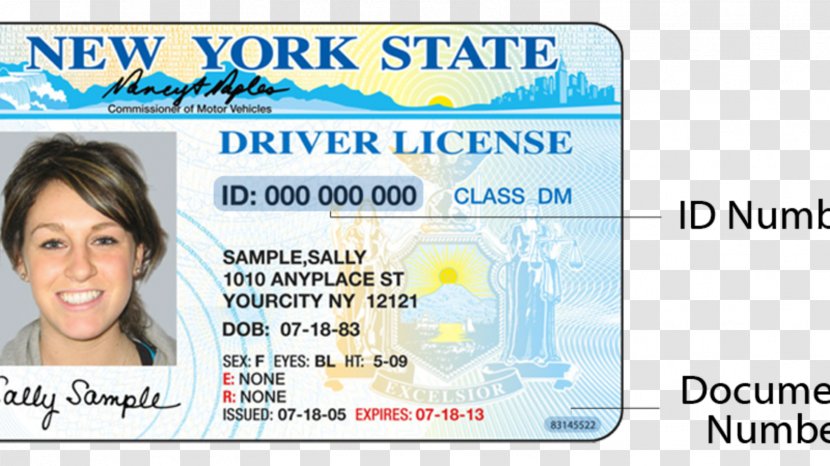 New York Identity Document Driver's License Department Of Motor Vehicles Driving - Enhanced Drivers Transparent PNG
