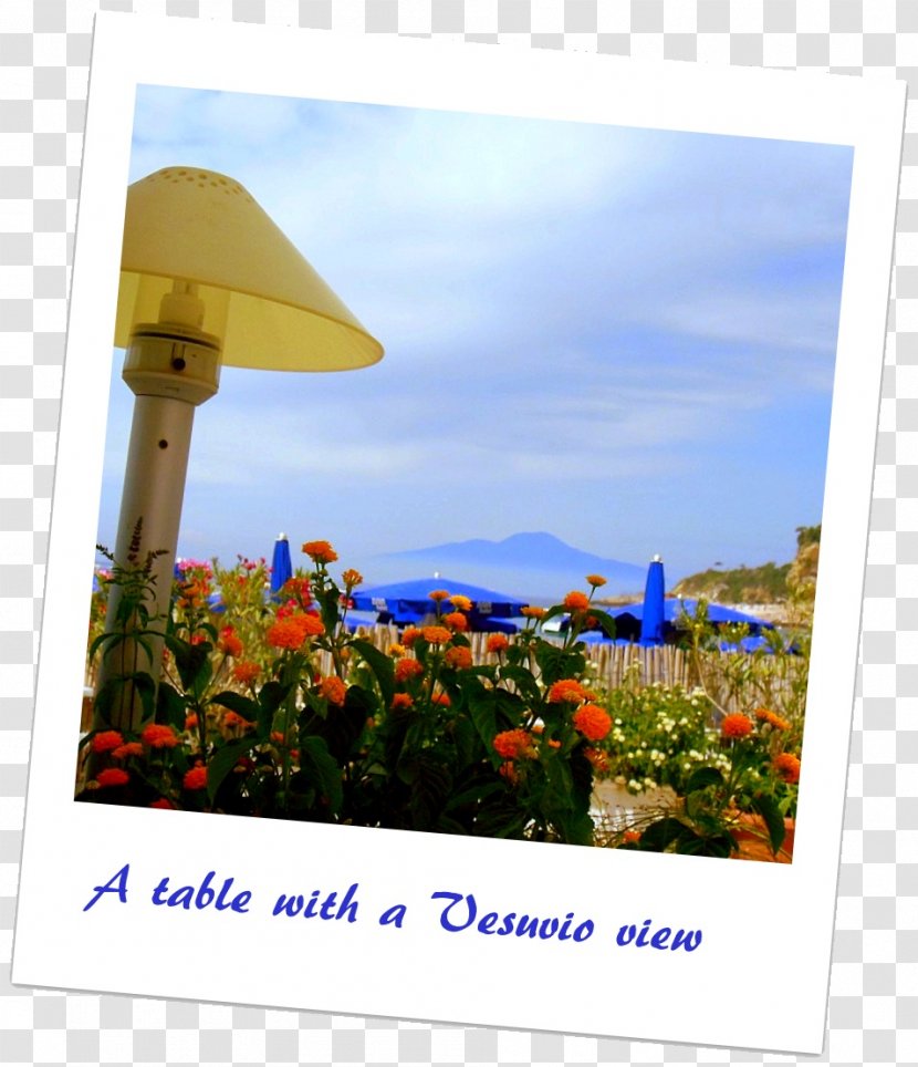 Advertising Flower Vacation Summer Picture Frames - Sky Transparent PNG