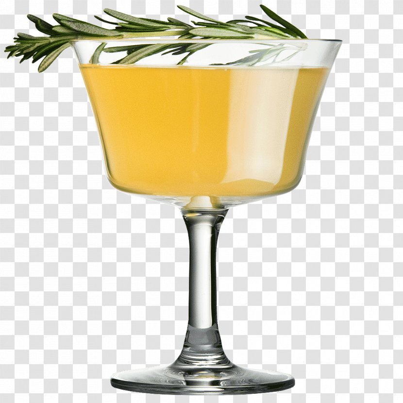 Cocktail Garnish Martini Fizz Champagne Glass Transparent PNG