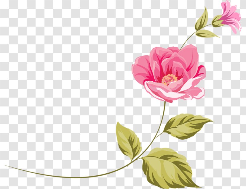 Floral Design Flower Clip Art - Garden Roses Transparent PNG