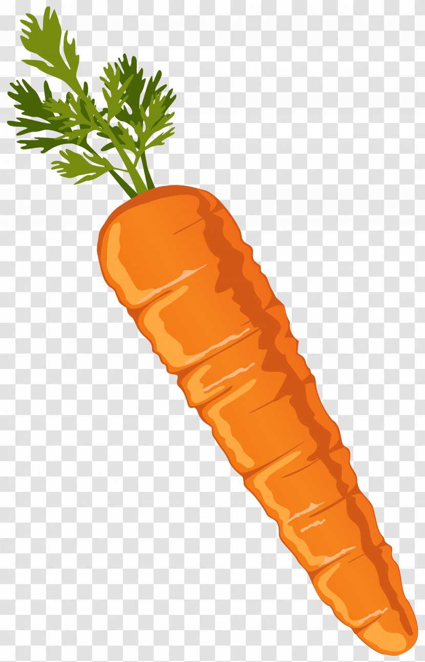 Carrot Salad Clip Art - Tree - Cliparts Baby Carrots Transparent PNG