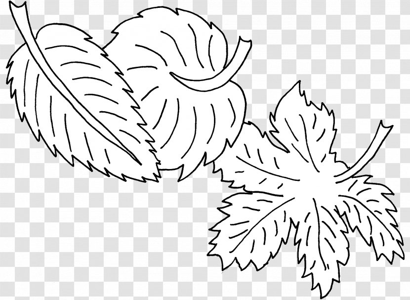 Floral Design Drawing Visual Arts - Line Art - Co To Je Podzim Transparent PNG