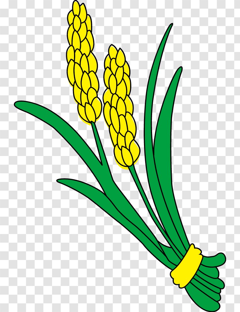 Rice Gadu Paddy Field Gratis - Artwork - Paddy,Rice,Rice,Hedao,Rice Transparent PNG