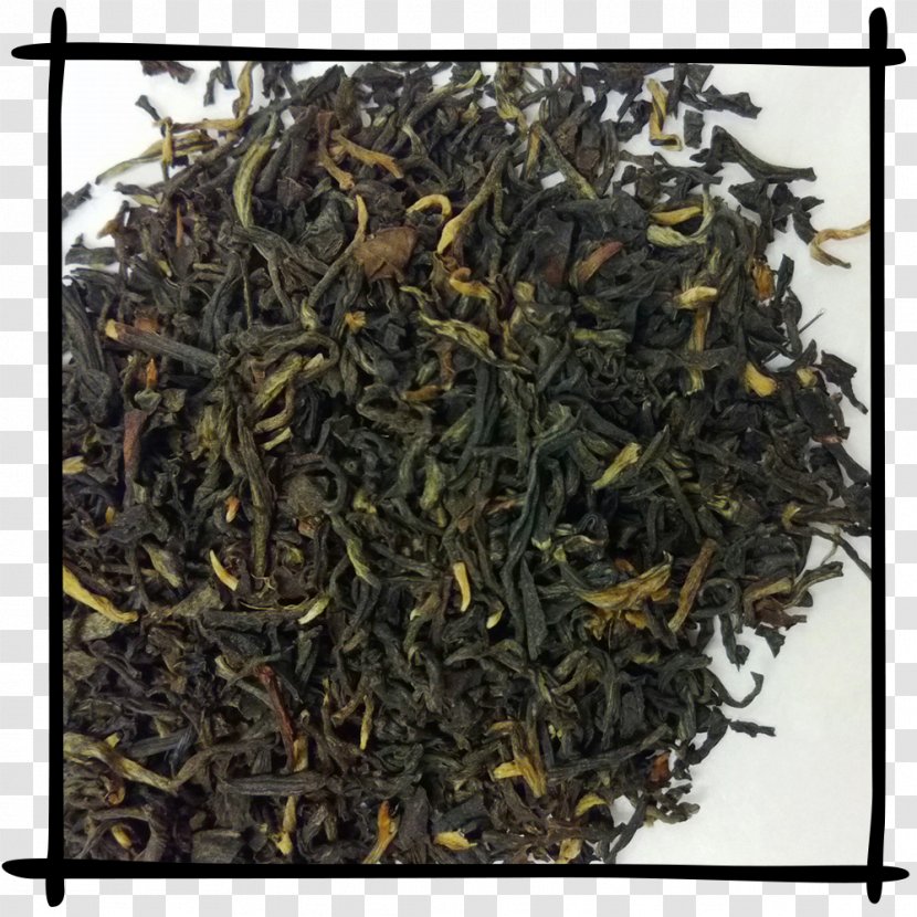 Lapsang Souchong Nilgiri Tea Darjeeling Earl Grey - Milk Spalsh Transparent PNG