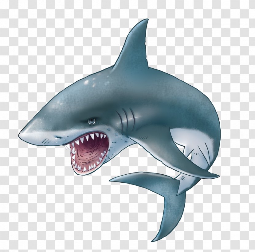 Hungry Shark Evolution Great White Clip Art - Killer Whale Transparent PNG