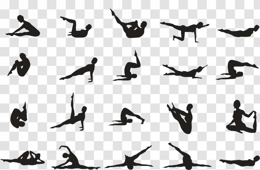 Pilates Exercise Yoga Asana Posture - Beak Transparent PNG