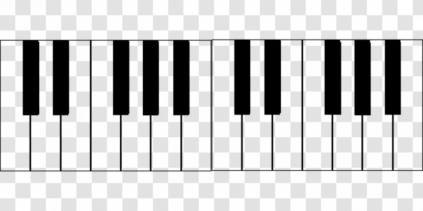 Piano Musical Keyboard - Tree Transparent PNG