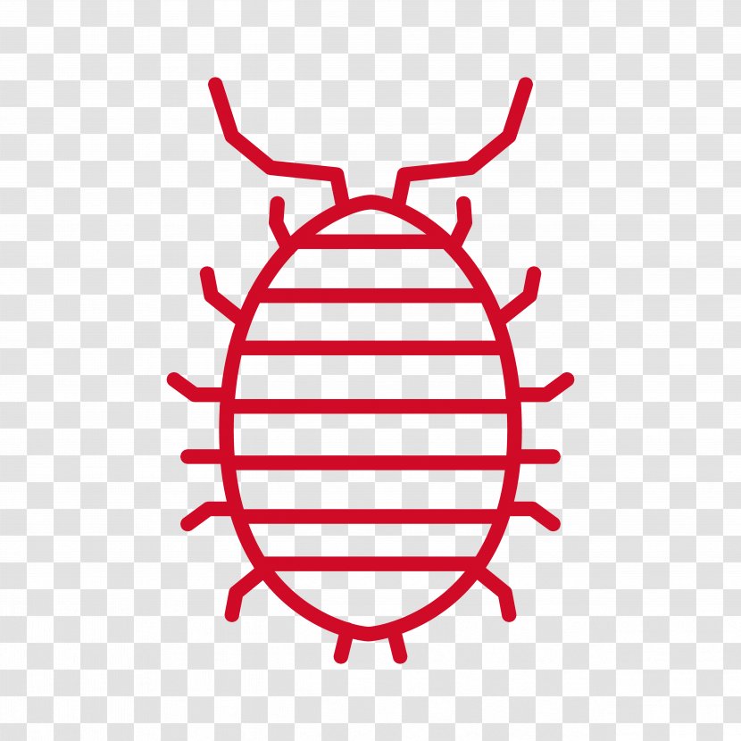 Line Insect Clip Art - Point Transparent PNG