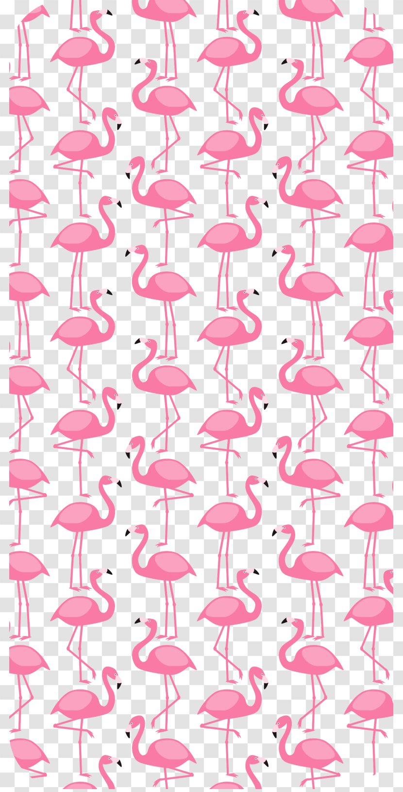 Flamingos Bird Telephone Desktop Wallpaper Pattern - Area - Flamingo Printing Transparent PNG
