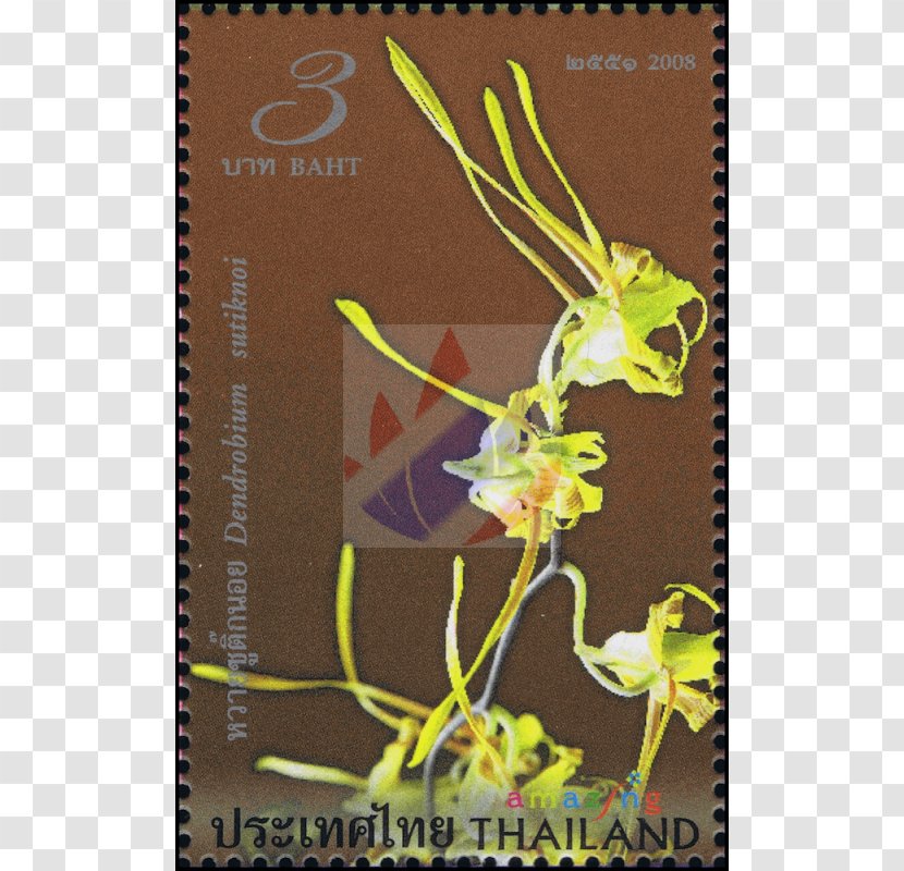 Flora Fauna Thailand Postage Stamps Thai People - Amazing Transparent PNG