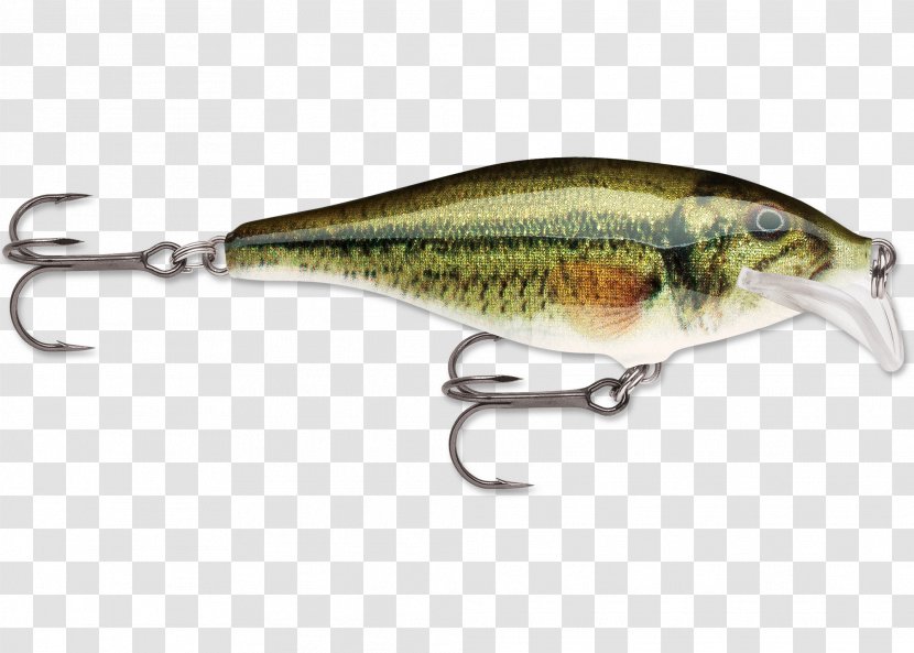 Northern Pike Rapala Largemouth Bass Fishing Baits & Lures - Plug Transparent PNG