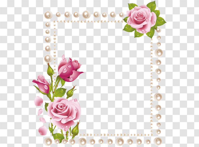 Flower Floral Design Clip Art - Photography Transparent PNG